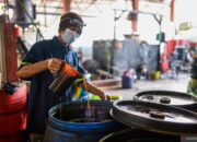 Jepang kembangkan bahan bakar alternatif dari kayu hingga kertas